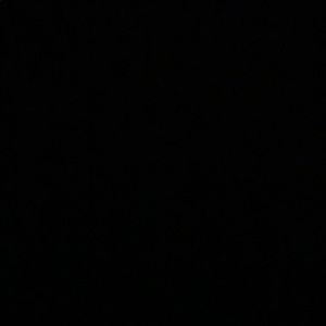 Meet your Posher, Riley